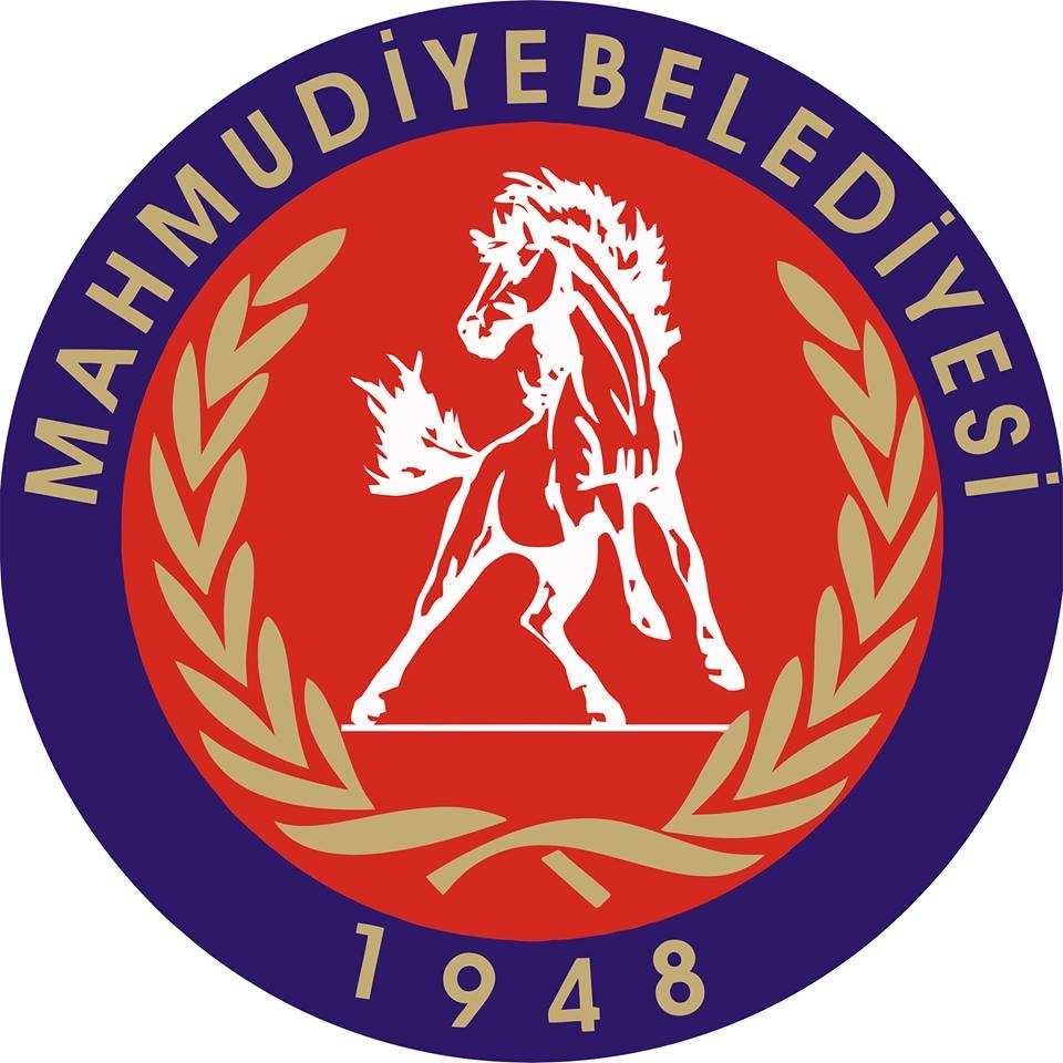 Mahmudiye Belediyesi